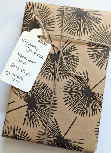 Blind Book #30 - Fiction, Mystery, Suspense