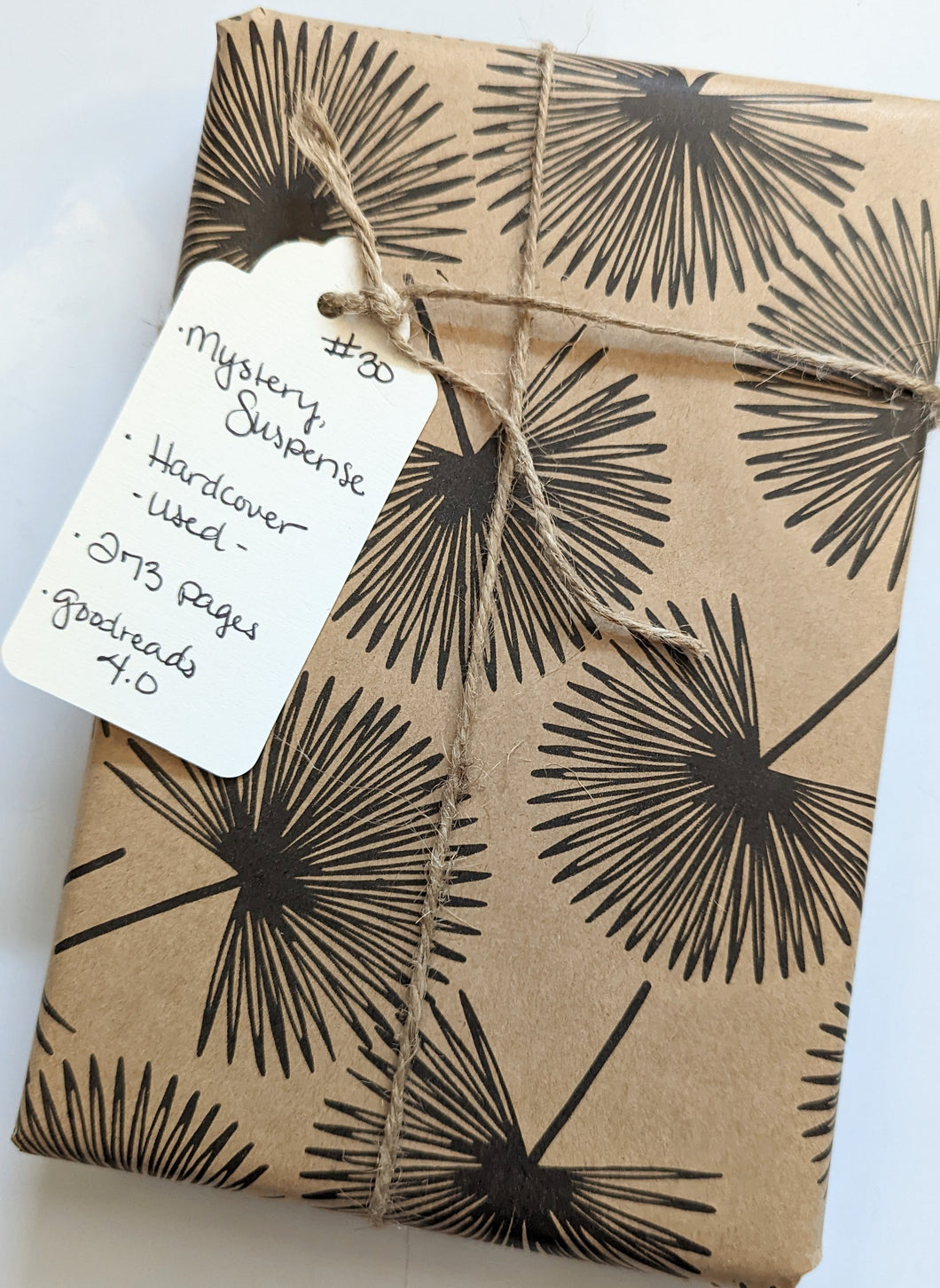 Blind Book #30 - Fiction, Mystery, Suspense