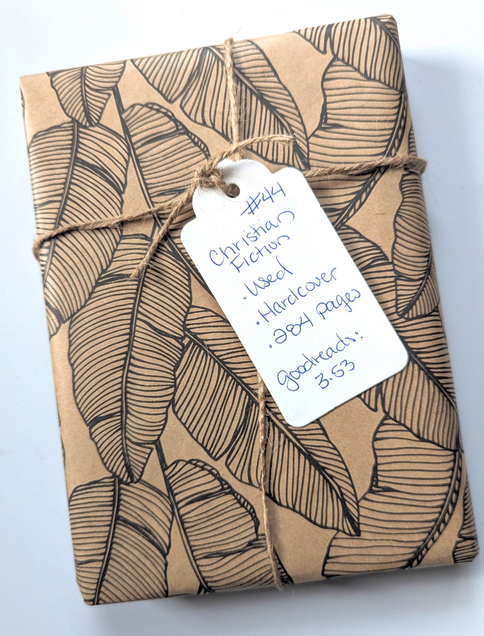 Blind Book #44, Used - Christian Fiction