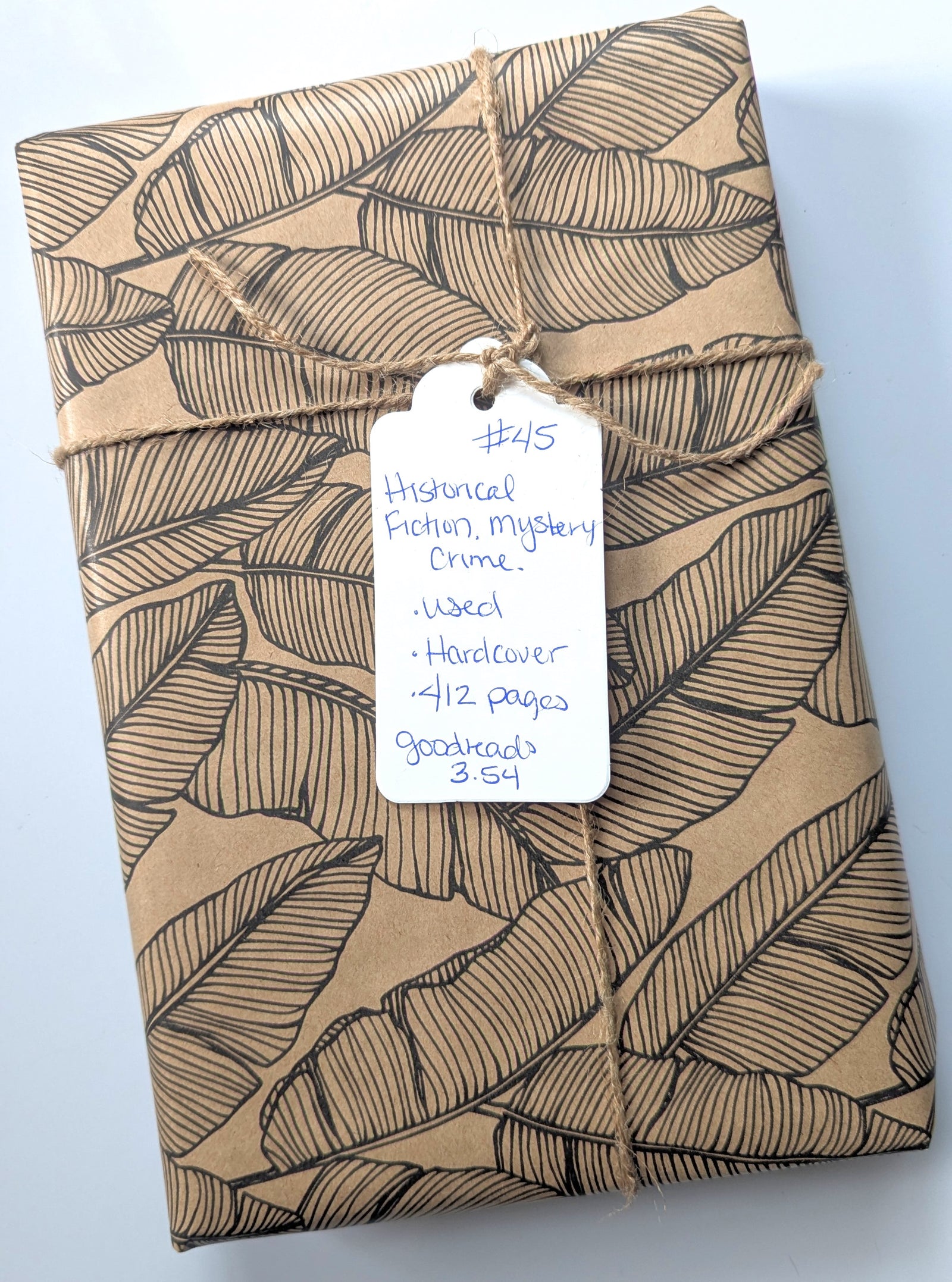 Blind Book #45, Used - Historical Fiction, Mystery, Crime