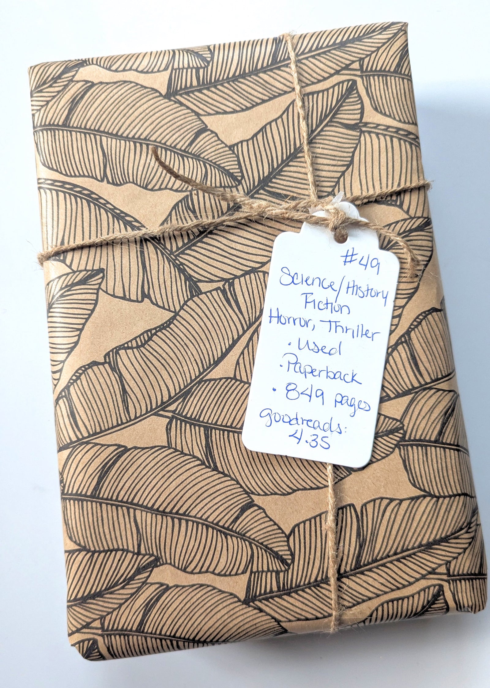 Blind Book #49, Used - Science Fiction, Historical Fiction, Horror, Thriller, Fantasy