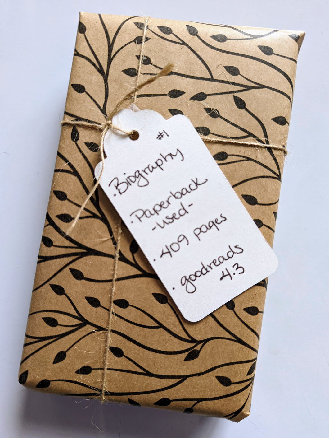 Blind Book #1 - Biography