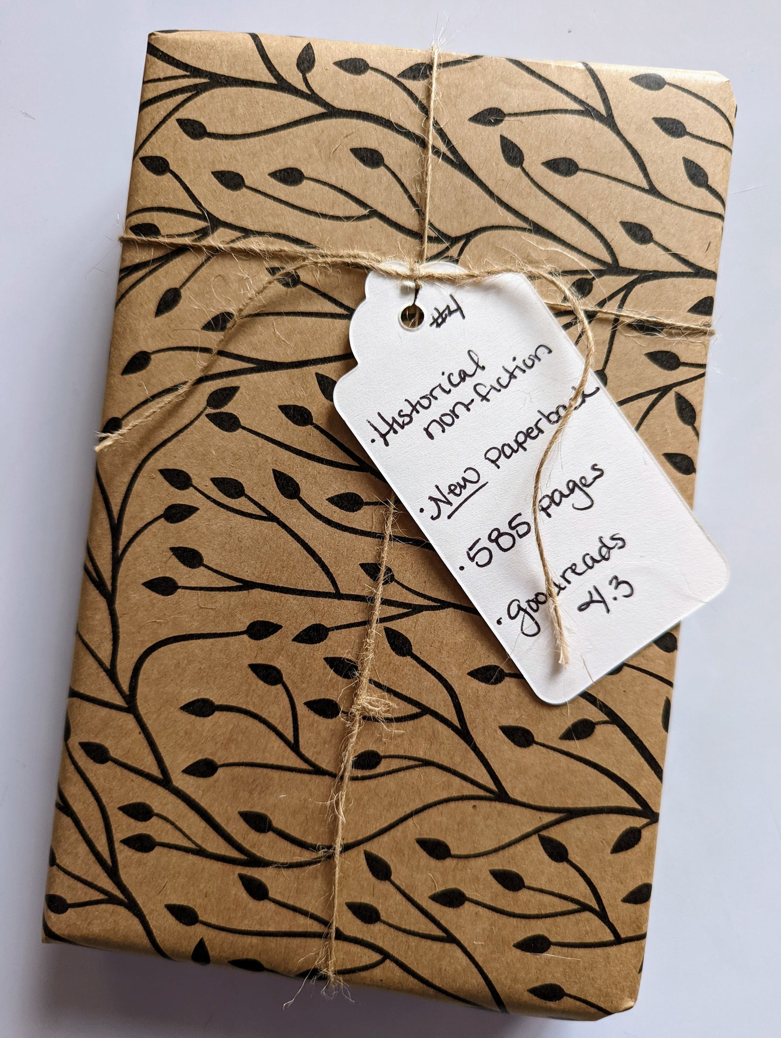 Blind Book #4 - Historical Non-fiction *NEW*